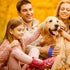 Pet grooming brush for dogs and cats, soft and durable handheld pet hair removal brush (Dark Blue + Orange)...
