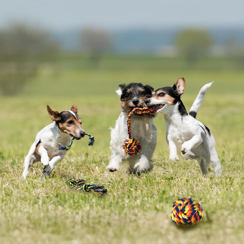 Puppy Teething Toys for Small Dogs, 5 Pack Cotton Puppy Dog Rope Toy for Small Dogs, Durable Dog Chew Toys for Aggressive Chewers Small Breed, Int...