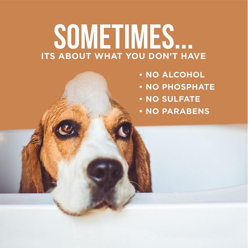Natural Rapport Dog Cologne Spray Cranberry & Vanilla Scent - The Only Between Bath Spray Dogs Need - Convenient, Dog Deodorant Spray and Pet Urin...