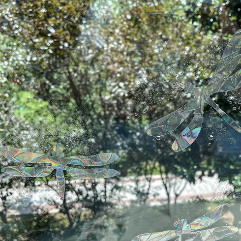 30 Pieces Dragonfly Anti-Collision Window Clings - Glass Reminder Prism Decals - Avoid Birds Strikes – Decorate Your Glass Doors, JD012QINGTING...