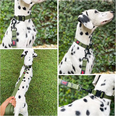 Tuff Pupper Waterproof Action Collar for Dogs | Heavy Duty Water Proof Dog Collar | Tear Proof & Odor Free | Rust-Proof Metal Hardware | Tactical ...