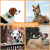2 Pack Reflective Dog Collar with Safety Locking Buckle, Adjustable Soft Breathable Comfortable Nylon Pet Collar for Small, Medium and Large Dogs,...