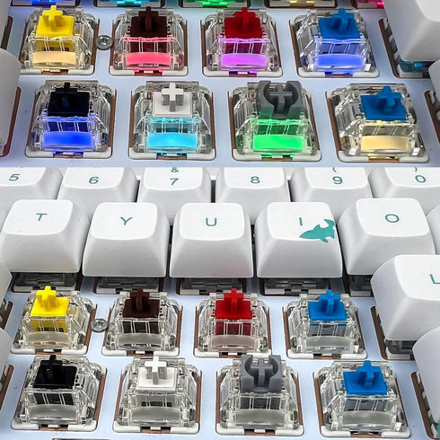 Gateron G Pro 3.0 Yellow Keyboard Switches,Linear 3-pins RGB Pre-lubed for Gaming Mechanical Keyboard (Yellow,72PCS)...
