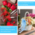 6 Rolls Organza Ribbon Sheer Chiffon Ribbon Transparent Chiffon Ribbons for Christmas Valentine's Day Gift Wedding Birthday Bouquet Garland Bow Ma...