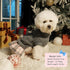 YUDODO Dog Sweater Dress for Small Dogs Winter Warm Dog Turtleneck Sweater Soft Puppy Knitwear Clothes Cute Doggie Dresses for Teacup Dog Yorkie C...