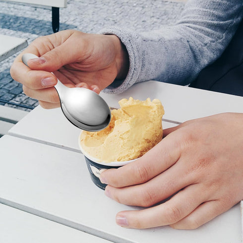 Short Handle Spoons,4 Pcs Small Scoops for Canisters, Stainless Steel Mini Salt Spoons for Salt Sugar Condiments Coffee Tea Dessert (4, Silvery)...