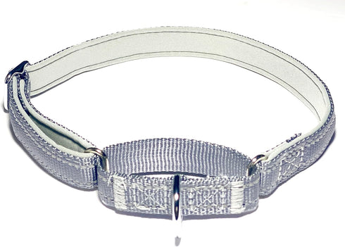 Martingale Dog Collars, Reflective Safety Puppy Collar, Adjustable Soft Nylon Training Dog Collar,Metal Accessories Heavy Duty No Pull Pet Collars...