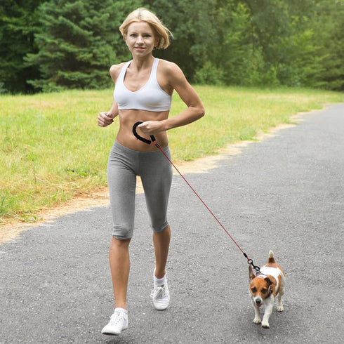 2 Pack Heavy Duty Dog Leashes with Chew Proof and Comfortable Padded Handle 4/5/6 FT, Steel Metal Safety Lead Rope with Retractable Buckle for Lar...