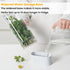 vacane Herb Keeper for Refrigerator, Fresh Herb Saver Herb Storage Containers, Cilantro Container for Fridge Asparagus Container, Dishwasher Safe...