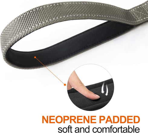 TwoEar 6FT 1IN Strong Gray Dog Leash with 2 Padded Handles, Traffic Handle Extra Control, Comfortable Soft Dual Handle, Auto Lock Hook, Reflective...