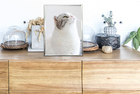 DECANIT 3.5x5 Picture Frame Metal, Thin Profile Photo Frame 3.5 by 5 Inch, Display for Wall or Tabletop,Silver...
