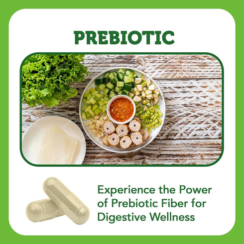 Vitamin Bounty Prebiotic Fiber Digestive Support with PreforPro® - Enhances Probiotic Effectiveness, Supports Digestive Health & Immune System, Re...