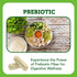 Vitamin Bounty Prebiotic Fiber Digestive Support with PreforPro® - Enhances Probiotic Effectiveness, Supports Digestive Health & Immune System, Re...