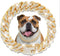 Cuban Link Dog Collar Gold Crystal Dog Necklace Metal Chain Collar with Design Secure Buckle Pet Collar Jewelry Accessories for Small Medium Large...