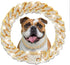Cuban Link Dog Collar Gold Crystal Dog Necklace Metal Chain Collar with Design Secure Buckle Pet Collar Jewelry Accessories for Small Medium Large...
