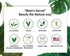 Mom's Secret 100% Natural Concealer, Organic, Vegan, Gluten Free, Cruelty Free, Made in the USA, 0.11 oz. (Flawless 20)...