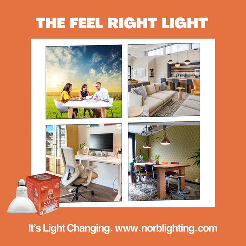 NorbSMILE CA California Energy Compliant Advanced Full Spectrum, Par 30 Long Neck, 10W LED Flood Style Light Bulb, Natural SUNLIKE Spectrum - Brin...