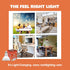 NorbSMILE CA California Energy Compliant Advanced Full Spectrum, Par 30 Long Neck, 10W LED Flood Style Light Bulb, Natural SUNLIKE Spectrum - Brin...