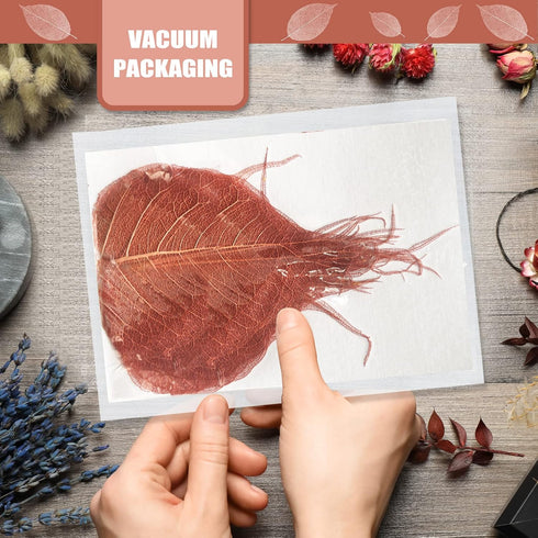 Brown Natural Skeleton Leaves for Resin, 42PCS Real Dried Pressed Dry BodhiSkeleton Leaf for Resin Mold Art DIY Craft Candle Making Phone Case Hom...