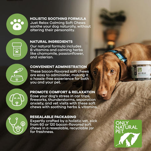 Only Natural Pet - Just Relax Herbal Calming Soft Chews for Dogs | Natural Anxiety Relief Treats, Premium Dog Relaxation Aid, Stress and Anxiety R...