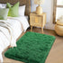 Small Rugs for Bedroom, 2x3 Fluffy Bedroom Rug, Soft Fuzzy Area Rug for Living Room Dorm, Non Slip Shag Rugs for Girls Boys Bedroom, Soft Kids Car...