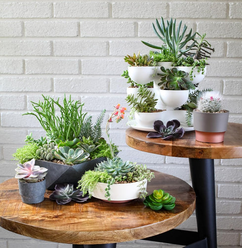 The HC Companies 6 Inch Round Capri Succulent Pot - Decorative Indoor Plastic Planter with Drainage, Faux Concrete...