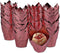 Sparkle and Bash Rose Gold Tulip Cupcake Liners for Baking, Foil Muffin Baking Cups 3.25 x 2.8 In, Pack of 100)...