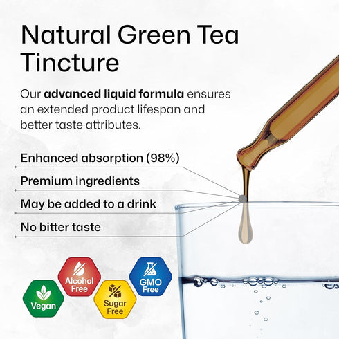 Green Tea Extract Tincture - Organic Green Tea Supplements with EGCG - Antioxidant Source - Immune Support Supplement - Alcohol and Sugar Free - V...