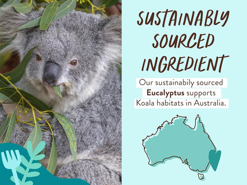 Babo Botanicals Eucalyptus Remedy 2-in-1 Bubble Bath & Wash - Invigorating Eucalyptus, Rosemary & Peppermint - For all ages - EWG Verified - Vegan...