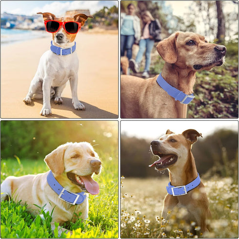 Wisedog Waterproof Dog Collar: Multiple Adjust 7" to 23.6", Soft Rubber Coated Webbing, Easy to Clean, for Small Medium Large Dogs (XL|18"-23.6" ×...