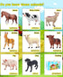 Animal Figurines, Big Animal Toys, 8 Pcs Farm Animals Figurines Toys, Realistic Plastic Animals Playset, Educational Learning Toy Set for Kids Tod...