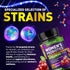 Probiotics for Women - 60 Billion CFUs, 16 Strains, with Cranberry, D-Mannose & Prebiotics - Supports Digestive, Immune, & Vaginal Health - Non-GM...