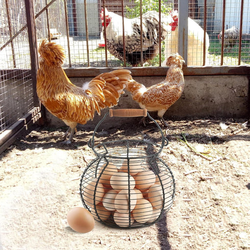 Egg basket-Farmhouse Round Wire Egg Baskets for Fresh Egg With Handle,Metal Egg Collecting Basket for Gathering Fresh Egg,Basket for Countertop Ho...
