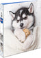 Avery Friends 3 Ring Binder, 1 Inch Round Rings, Husky Puppy (26841)...