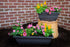 Rectangle Planter Box, 16 Inch Indoor/Outdoor Rectangular Planter, Durable UV Resistant, 2 Gallon Plastic Window Box Trough, Use for Herbs, Succul...