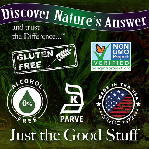 Nature's Answer Alcohol-Free Gymnema Leaf 1oz Extract | Gluten-Free | Non-GMO | Vegan | No Artificial Flavors or Preservatives | Single Count...