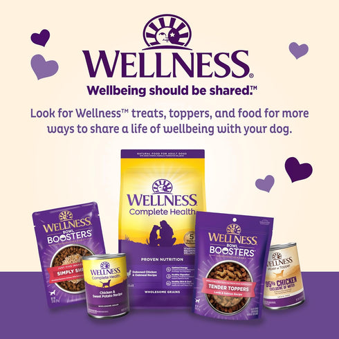 Old Mother Hubbard Wellness Wholesome Indulgences Peanut Butter & Banana Flavor Natural Dog Treats, 10 Ounce Bag...