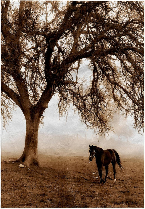 3D Rose Western Sepia Toned Horse on a Ranch with an Oak Tree TWL_202972_1 Towel, 15" x 22", Multicolor...