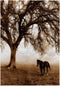 3D Rose Western Sepia Toned Horse on a Ranch with an Oak Tree TWL_202972_1 Towel, 15" x 22", Multicolor...