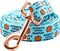 Lionheart glory Halloween Strong Dog Leash, Durable Dog leashes with Soft Handle for Walking Training Small Male or Female Dogs...