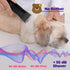 Dog Grooming Kit, Dog Clipper for Grooming, Rechargeable Cordless Dog Shaver with Alloy Steel Ceramic Blade, IPX7 Waterproof Dog Hair Trimmer...