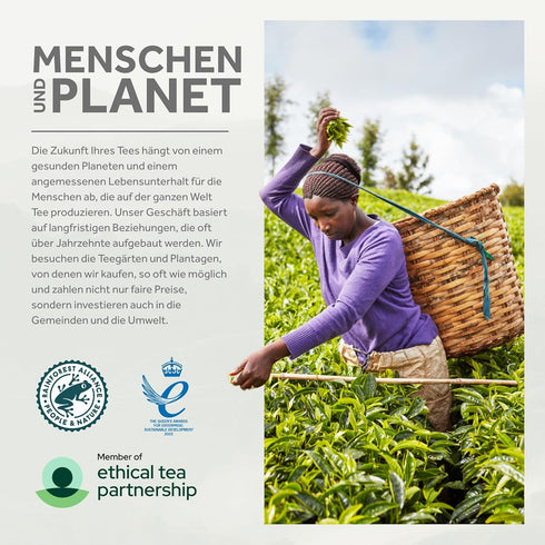 Taylors of Harrogate Yorkshire Gold Loose Leaf, 8.8 Ounce...