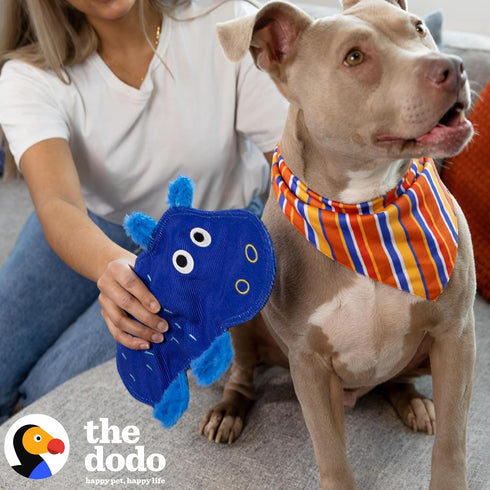 The Dodo Crinkle Flattie Hippo Dog Toy, Stuffingless Toy for Dogs; No Stuffing Dog Toys with Crinkle Sound and Squeaker; Hippo Toy for Dogs in Fla...