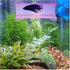 Brand Betta Tunnel (Translucent Pink)...