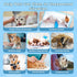 Extra Thick Pet Bathing Wipes for Dogs & Cats, Cleaning & Deodorizing Grooming Gloves, Nourish Fur Glove Wipes for Daily Care and Traveling, Rinse...
