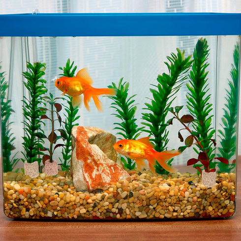 Aquatic Water Plant Fixed Ring, Aquarium Plant Pot Fixed Holder, Fish Tank Plant Weights -Floating Accessories for Aquarium Landscape Ceramic Plan...