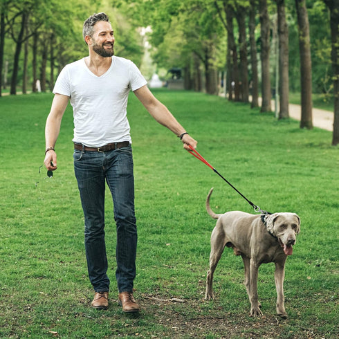 Chew Proof Heavy Duty Leash for Dogs Up to 250 Pound,Metal Cable Lead Made of Coated Wire Rope with Soft Padded Handle?Chew Resistant Dog Leash fo...