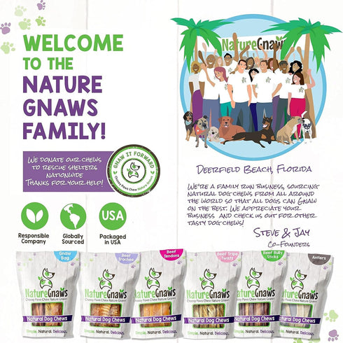 Nature Gnaws - Beef Jerky Springs for Dogs - Premium Natural Beef Gullet Sticks - Simple Single Ingredient Tasty Dog Chew Treats - Rawhide Free 7-...