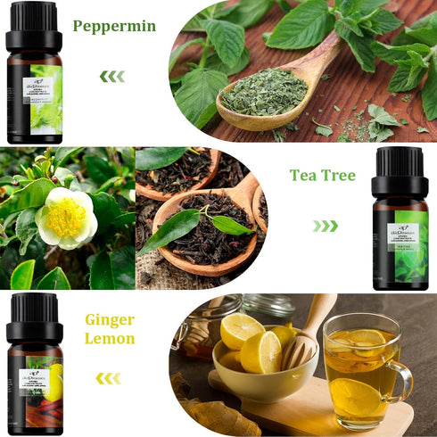 Fresh Essential Oils Set, 6x10ml Aromatherapy Oil Gift Kit for Diffuser, Fragrance, Humidifiers, Air Purifier- Tea Tree, Bergamot, Rosemary, Laven...
