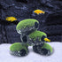PINVNBY Stone Aquarium Hideaway Decoration Resin Cichlids Rock Decor with Artificial Moss Betta Cave Hideout Shelter Tunnel Fish Tank Ornament for...